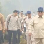  Karhutla Layak Dipandang sebagai Terorisme Ekologi
 