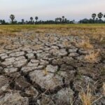 Mitigasi El Nino di Sektor Energi, Bukti Negara Hadir Antisipasi Krisis