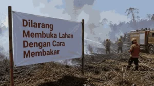 Pemerintah Perkuat Deteksi Dini dan Penegakan Hukum untuk Cegah Karhutla di Papua