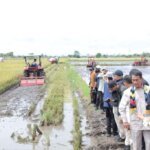 Program Cetak Sawah Rakyat Tingkatkan Kesejahteraan Masyarakat Lokal