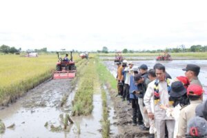 Program Cetak Sawah Rakyat Tingkatkan Kesejahteraan Masyarakat Lokal