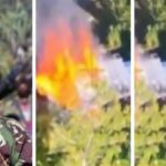 Tolak Kekerasan Bersenjata, Tokoh Adat Serukan Papua yang Aman dan Damai