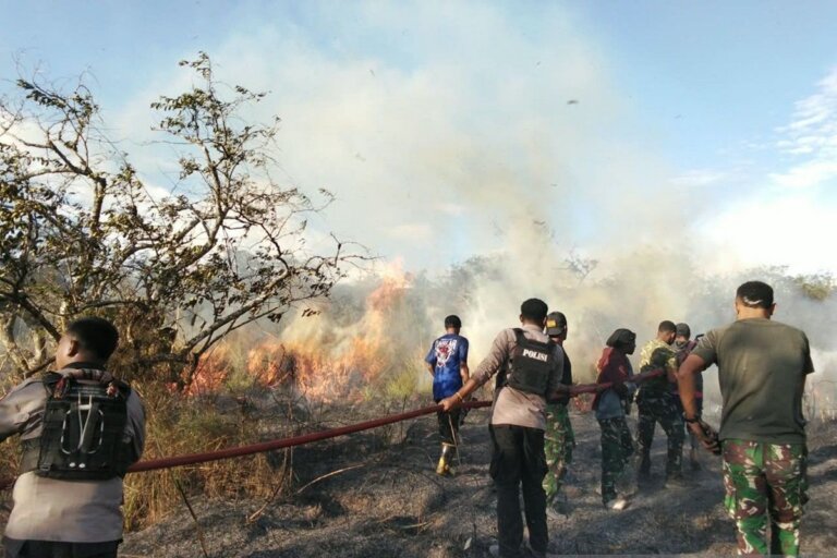 Presiden Intruksikan 70 Ribu Personel Gabungan Percepat Pemadaman Karhutla