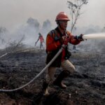 Respons Cepat dan Terpadu Atasi Karhutla di Sejumlah Wilayah
 
 